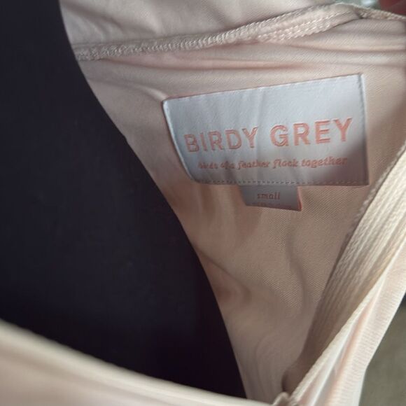 Birdy Grey Dusty Rose Pink Chiffon Full Length Mesh Cutout Elyse Dress - Picture 8 of 8